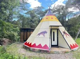 Bosque de Aventura & Glamping El Refugio del Bosque