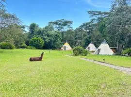 Bosque de Aventura & Glamping El Faro