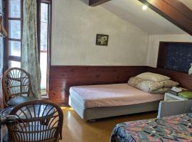 Hachiko Inn，位于妙高的酒店