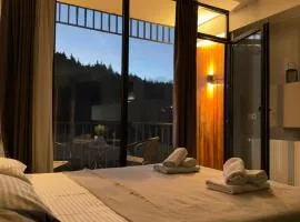 Didveli Gallery Bakuriani B202 დიდველი გალერეა ბაკურიანი B202