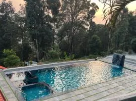 The Nest bettathur, Coorg