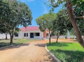 Poinsettia White House