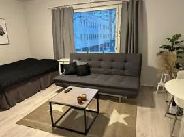 Functional studio in the center