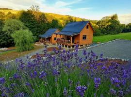 Agroturystyka Lawendowa Dolinka Domki Beskid Niski, hotel in Chyrowa
