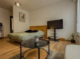 Studio idéalement situé cathédrale et centre-ville