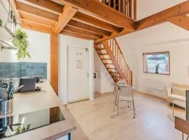 Appartement 1 chambre mezzanine centre de Roubaix