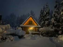 Domek Nad Rozlewiskiem z kominkiem