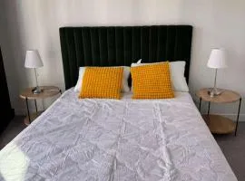 1Br City View apt near SthnCrs Wifi Pool Gym