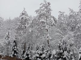 Salis Resort – hotel w Wieliczce