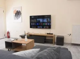 Central City Apartment