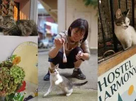 Harmony Backpackers Hostel