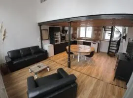 Loft industriel - hyper centre cambrai