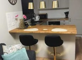 Apartament Blue 4 pokojowy z ogródkiem