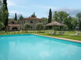 Belvedere - Falceto, Ambra, Toscana