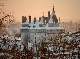 Le Clos Rabelais, hotel in Langeais