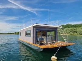 Bateau Lac du Der - Saint-Dizier- Navigation