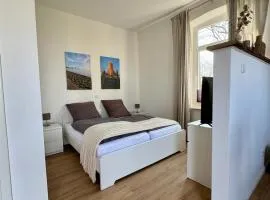 Heuler beim Ochsenturm am Deich