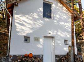 Royal Cave Noszvaj, ξενοδοχείο σε Noszvaj