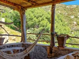 Vintage House With Terrace On The Elba Island