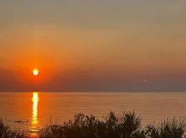 The Funky Oyster Pool Port St Joe