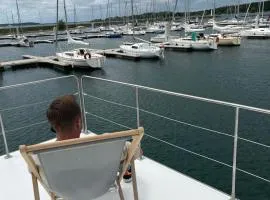 Bateau Lac du der - Arrigny - Navigation