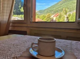 Val di Sole - Pejo1400 tylko 3 minuty od wyciągu