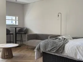 Modern and Spacious studio Wi-Fi Near Canal walk