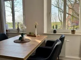 Seelöwe beim Ochsenturm am Deich