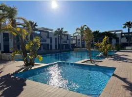 Flamingo del Guardamar