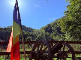 Authentic Transylvanian Country House, Hotel in Văleni