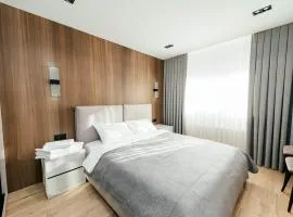 Central Rîșcani Loft