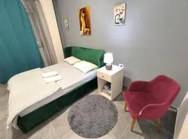 Deasapartments in Tirana 3