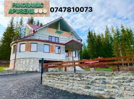 Panoramic Apuseni Doda Pilii