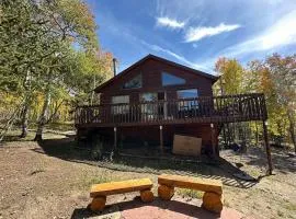 Serene and Peaceful Cabin 50 mins to Breckenridge