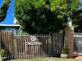 28onCalliope Overnight