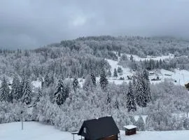 Mountain House Jelovica