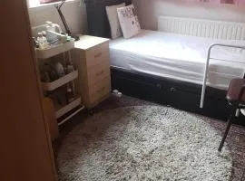 Mr Vinay`s Residence