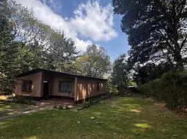 El Susurro del Bosque