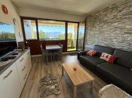 Apartment for 4 people near the slopes, hotel Valbergben