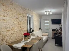 Ski and relax apartment - Voineasa