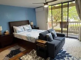 Newly remodeled with Aloha