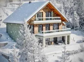 Villa Stella Verde - Wellness Villa with a swimming pool, hot tub and sauna