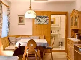 Salzkammergut Homes Gmunden - Haus am Fluss, ruhige zentrale Lage, Waldblick - ideal für Familien und Ruhe Suchende