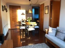 Depto en Viña del Mar Mariposa 2 suites