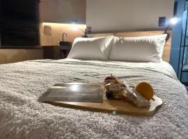 Seid Manor Wellness and Healing Retreat