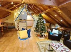 Colmar Friends and Familly guest home - ALL INCLUSIVE - COLMAR Gare - Jardin - Combles et Vous