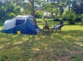 Majimoto Bushpig Camp