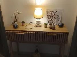 T2 quartier résidentiel la plaine st- Paul