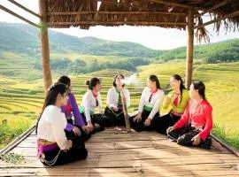 Homestay Cây Thông