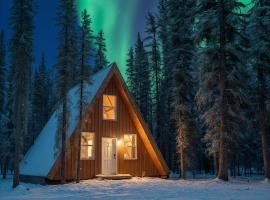 Roberts Lodge, Hotel mit Parkplatz in Tok